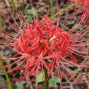 마산맛나눔터 이미지