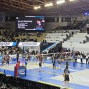 파티나인에이 | 임신 11주차 출근룩 / 단체보험 실비 임신 진료비 바우처 실손 청구 / 임산부 고양이 알레르기 결막염 안약