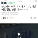 (부산 수액맞고 사망 사건)국민청원 부탁드립니다. 이미지