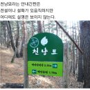 산울림산악회 2016년 1월 산행 안내 이미지