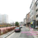 삼성전자 맞은편 공원 이미지