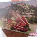 예쁜숲