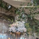 26 4.11 포항 결혼식 죽도시장 이미지