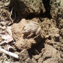 전의농장 이미지