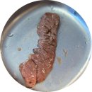 오로코 | 일본 숯불 화로구이 맛집 건대 야끼니꾸 백삼호 야끼소바 기린생맥 솔직후기