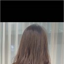 서정디자인컨설팅