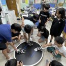 새금초등학교 이미지