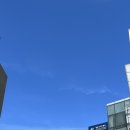 모다다원 이미지