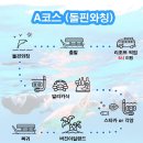 [보홀여행] 발리카삭 거북이 / 원클릭 단독투어 / 보홀자유여행 일일투어 후기