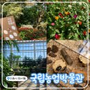 이마트24 수원엘시티점 | 수원 가볼만한곳! &lt;국립농업박물관&gt; 식물원&amp;박물관&amp;전시까지 한번에 구경 가능해요 :)