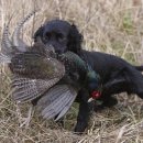 스포팅(SPORTING) 이미지