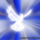 수원-0492 이미지