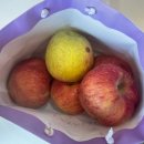 안윤성치과의원 이미지