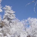 설화 이미지