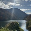 흑석산책로 | 11월 장태산 단풍 후기 + 오씨칼국수 (뚜벅이루트) | 차량절대금지!