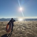 태안양계장 | 김포라베니체맛집 양계장집 아들 순살후라이드 주차정보