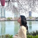 송파나루(동호휴게시설-1층) | 잠실 석촌호수 벚꽃 실시간 서울 대표 벚꽃명소 꽃구경 사진 잘찍는법 꿀팁