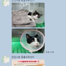 멍멍냐옹동물병원 이미지