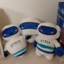 강풍 | 파타야 스페이스 호텔 후기, 객실 그리고 강풍이 불었던 수영장 후기