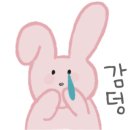 카츠정연 이미지