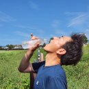 나무여행 이미지