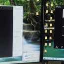 뇌건강지도사 2급 자격과정 이미지