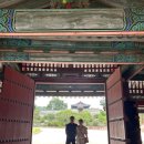 용마루정비 | [방문후기] 창경궁– 가족이랑 걷기 좋은 고궁 (창덕궁 비원 입장방법)