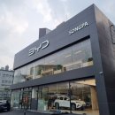 KIM’S AUTO 이미지