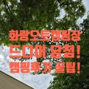 안산 화랑유원지 캠핑장 당첨 후기! 도심 속 캠핑 성지에서 불멍까지 완벽했던 1박 2일