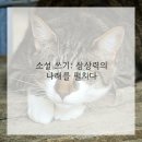 장르별 글쓰기(소설) 이미지