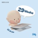 고운님찌짐 | 바쁘다 바빠 가을 즐기는 일상