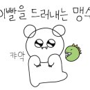 김젓갈삼겹살 이미지