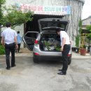 사랑이농장 Daum카페