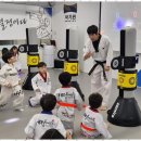세정태권도 네이버블로그