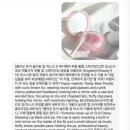 뽀송뽀송펫뷰티 | AI 교육 사례 | 달바 · 클리오 · 아모레퍼시픽 뷰티 기업 AX 실전 교육 대공개 (동물 활용 숏폼 워크...
