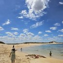 31140-9-86-12 | 멜버른 여행 / 그레이트오션투어 역방향 렌트카 후기 (2) ( feat. 피턴버러 비치, 로크아드고지, 12사도...