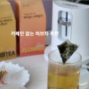 꽃;다시피다