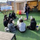 변산서중학교 이미지