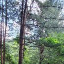 워터힐링 이미지