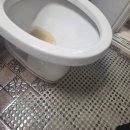 [변기막힘] 하수구막힘 뚫음 긴급 해결 후기 :)!!