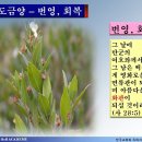 심볼리즘 이미지