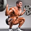 짐프릭 정자시장점 이미지