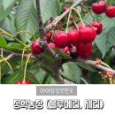 청학농장 이미지
