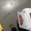 펫시 | [공지] 죽지도 않고 퇴사 하고 돌아온 고라니입니다. (feat. 닌타마 극장판 관람후기/스포X)