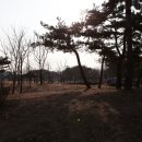 몽마르뜨공원 이미지