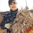 허영원 이미지
