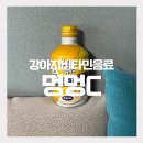 더멍멍 | 강아지 비타민 멍멍C, 먹이면 좋은 4가지 이유 내돈내산후기
