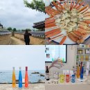 영덕여행 영덕대게 괴시전통마을 삼사해상 산책로 영덕주조 (with도원결의, 블링블링)