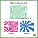 sunburst 만들기(원형-선,라인-폭프로파일4, 극좌표 격자도구) 이미지