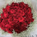 여송지성 이미지